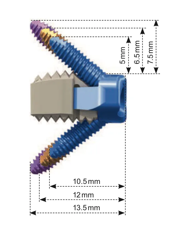Pallas Low Profile Anterior Cervical Cage